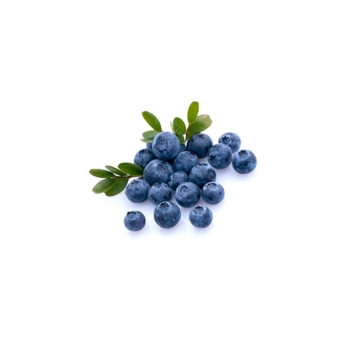 Fresh Blueberries at zucchini
